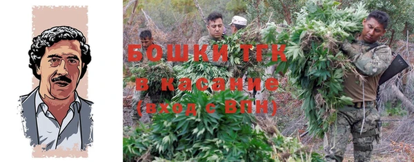 эйфоретик Богданович
