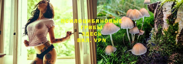 эйфоретик Богданович
