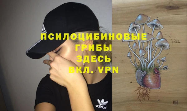 эйфоретик Богданович