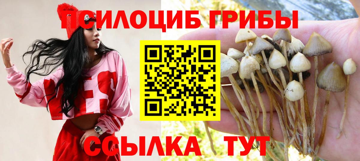 Галлюциногенные грибы прущие грибы Среднеуральск