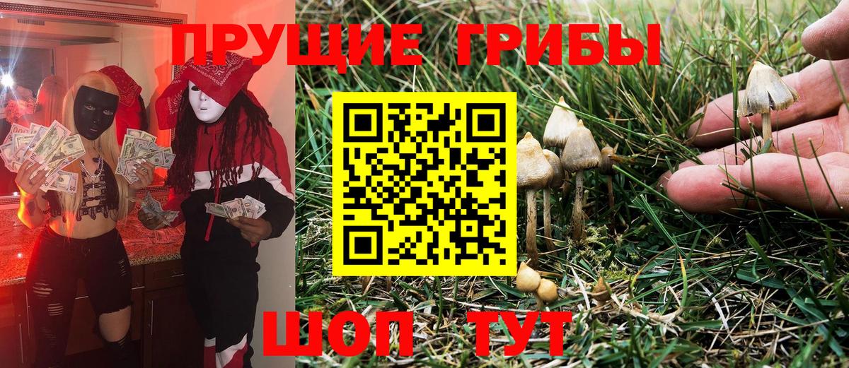 Псилоцибиновые грибы MAGIC MUSHROOMS  Вход с VPN  Среднеуральск  Галлюциногенные грибы мухоморы 