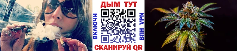 Канабис гибрид  Среднеуральск 